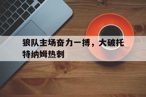 狼队主场奋力一搏，大破托特纳姆热刺
