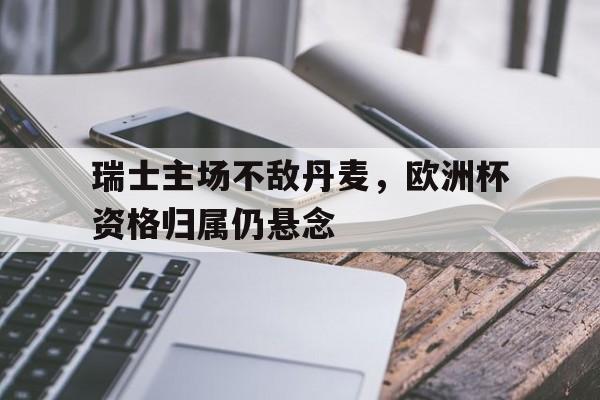 瑞士主场不敌丹麦，欧洲杯资格归属仍悬念的简单介绍